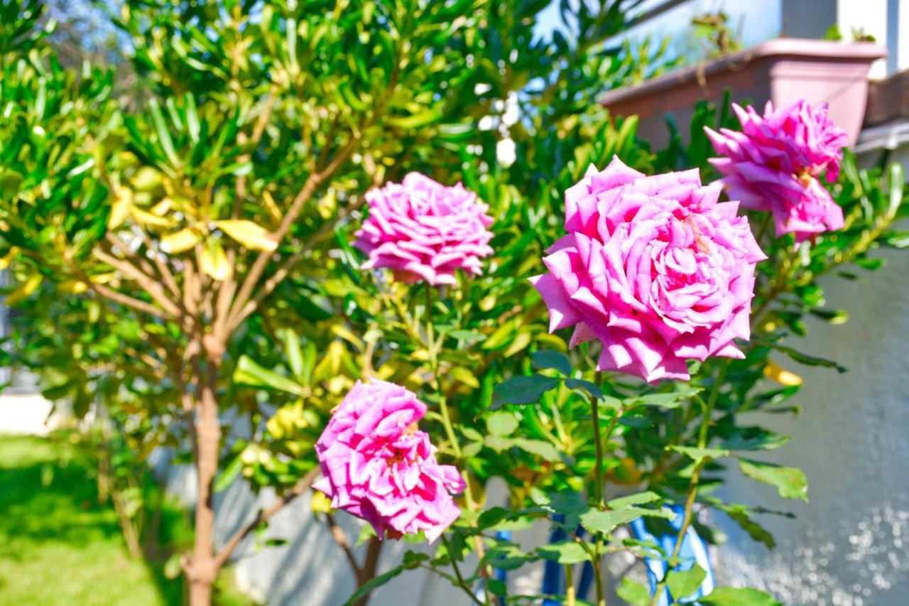 Ninas Cottage Λίνια Εξωτερικό φωτογραφία
